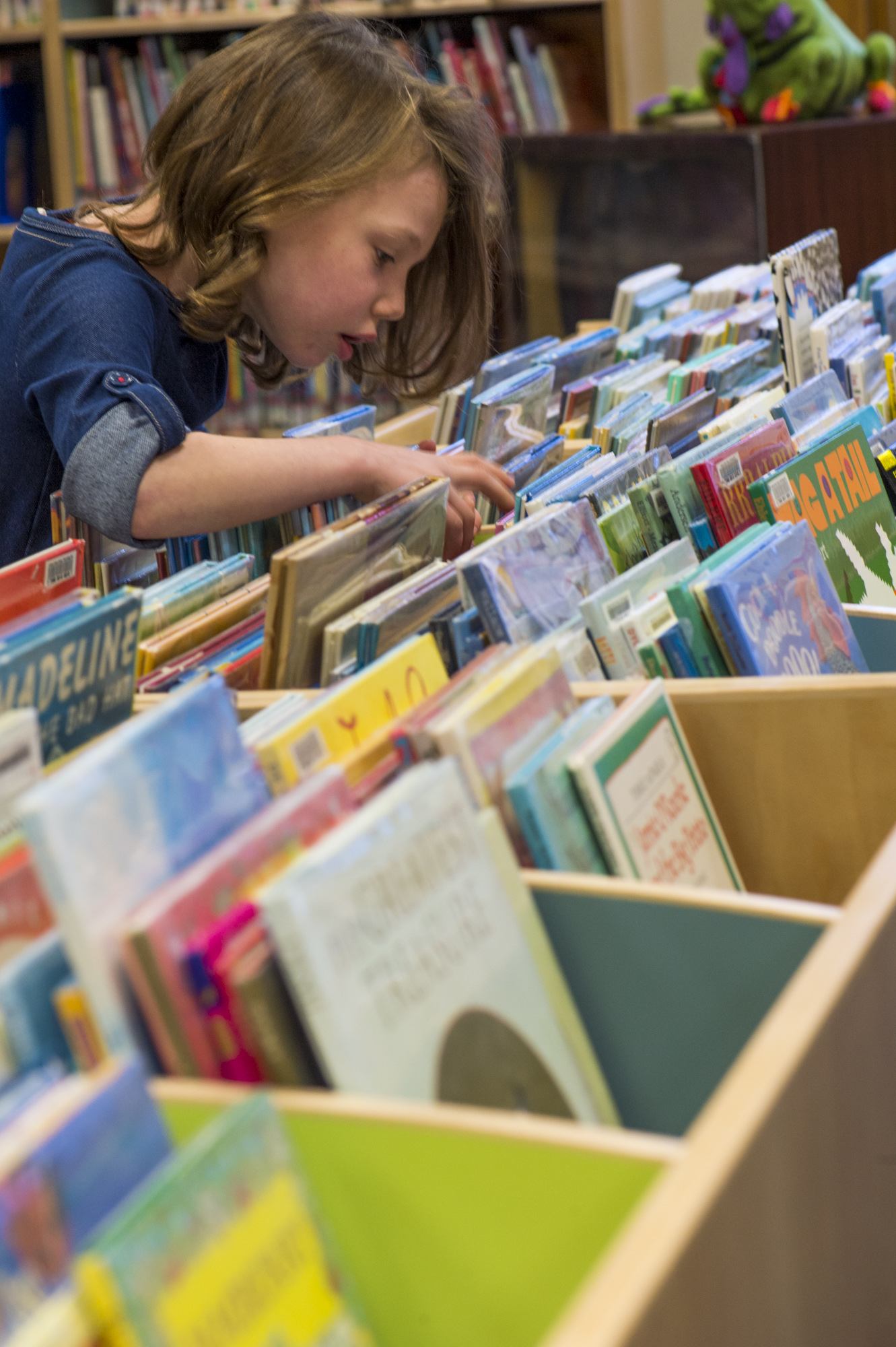 Joshua Hyde Public Library - Ideas & Inspiration from Demco