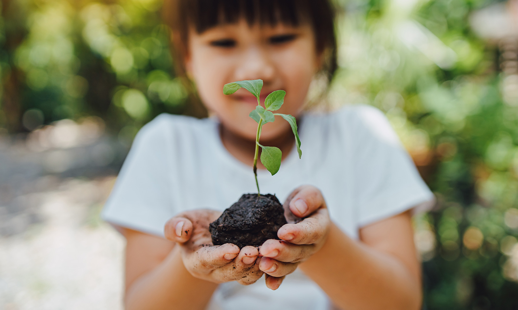 Libraries As Leaders in Sustainability - Ideas & Inspiration from Demco