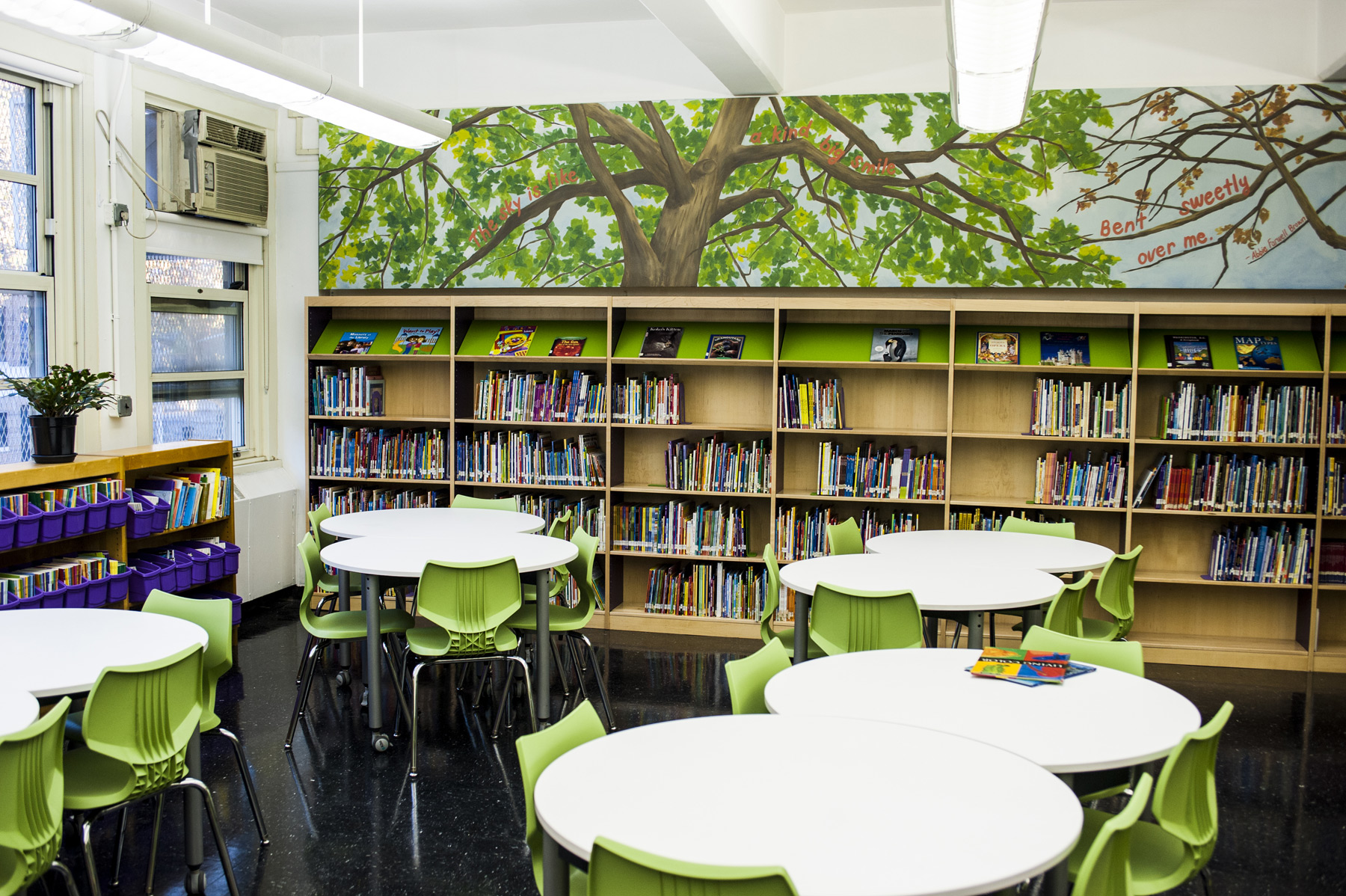 Brooklyn Arbor Elementary School, NY