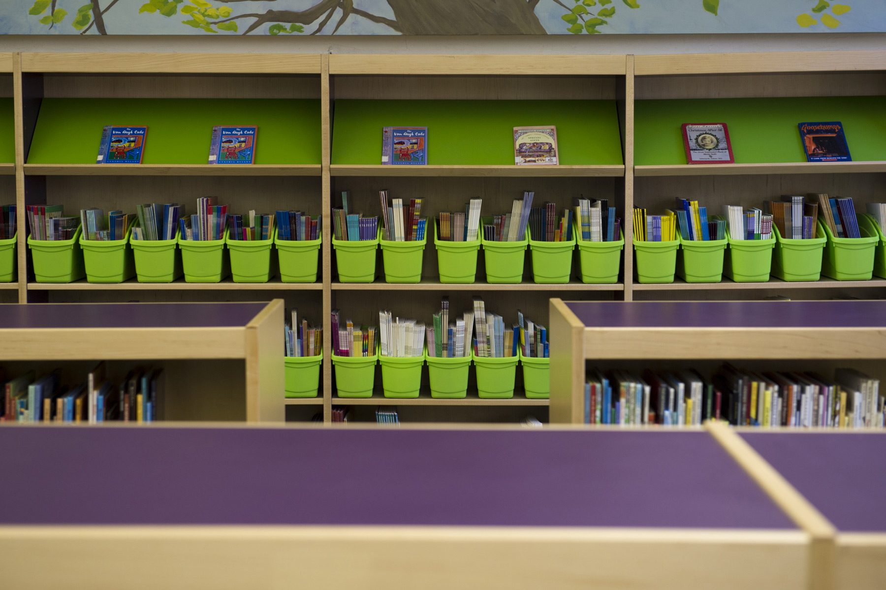 Brooklyn Arbor Elementary School, NY